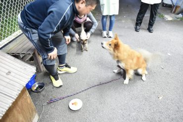 次はプリン♡